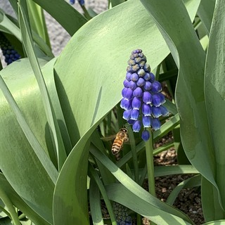 IMG_9578.JPG